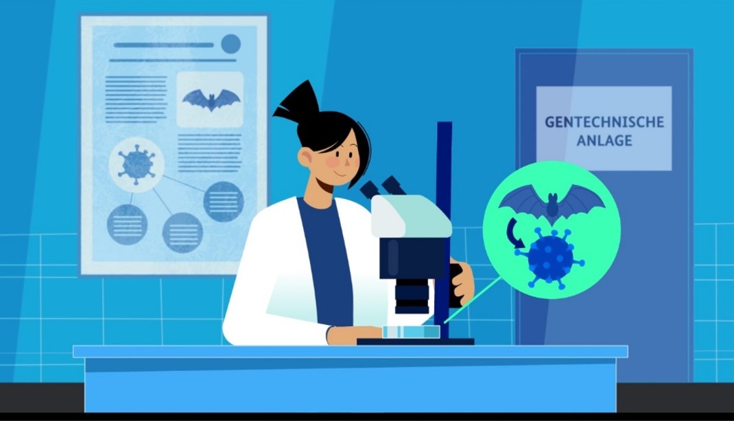 Ms Müller sits at the microscope in the laboratory and finds a new virus in bat samples that she wants to investigate further in genetic engineering work.