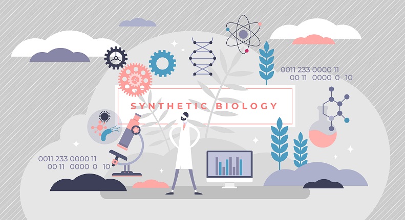 Synthetischen Biologie